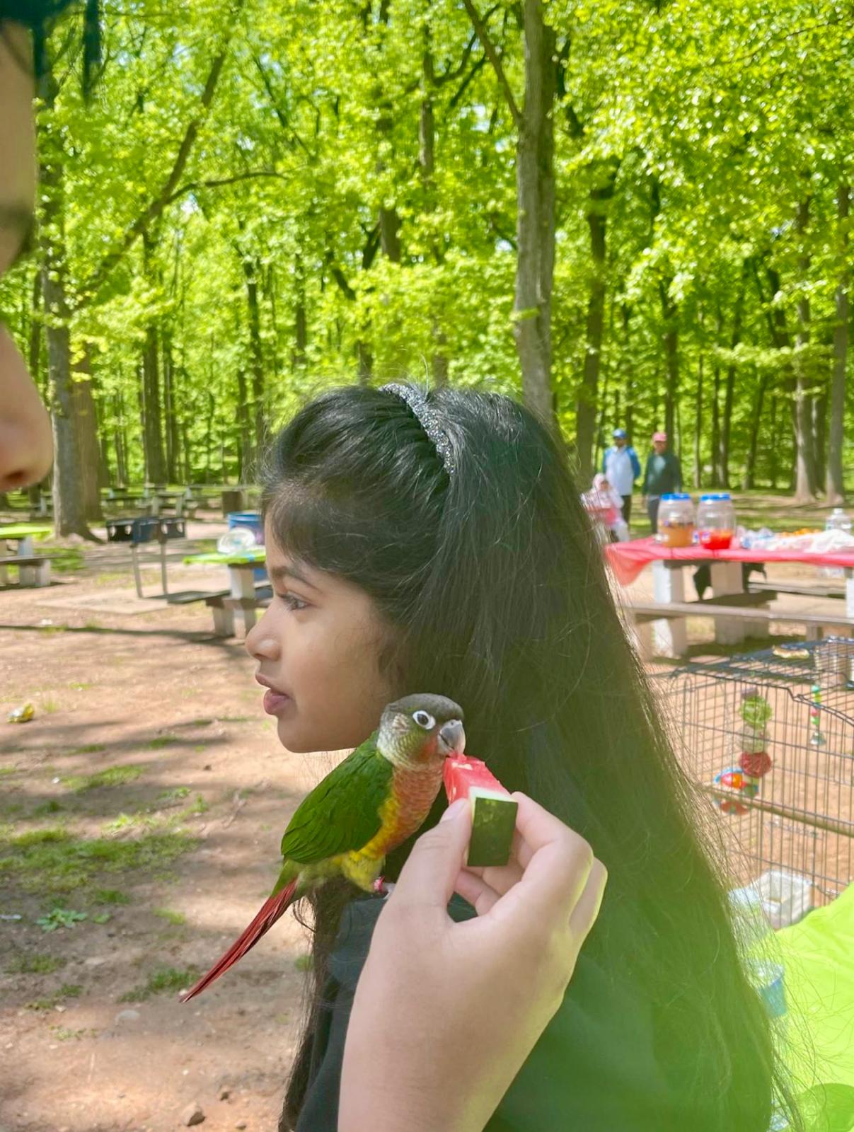 AAANY Picnic 2024 - Photo 1